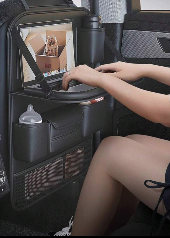 back seat storage unit